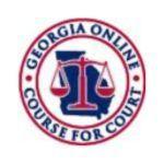 Georgia Online Course For Court