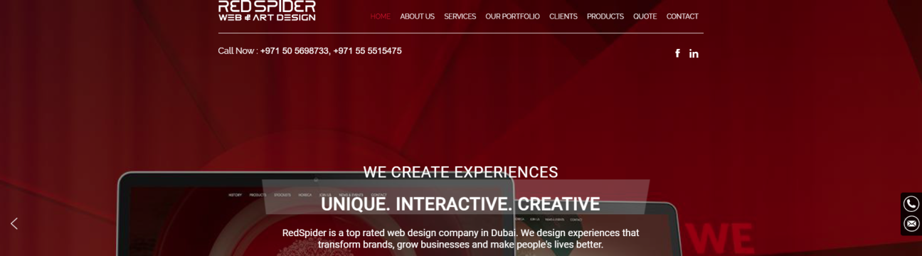 RedSpider Web And Art Design