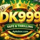 DK999 Game